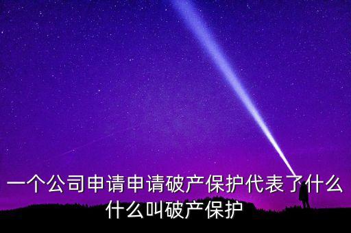 申請破產(chǎn)保護是什么意思，破產(chǎn)保護是什么意思