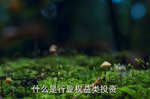 什么是權(quán)益類投資產(chǎn)品，權(quán)益類投資是什么