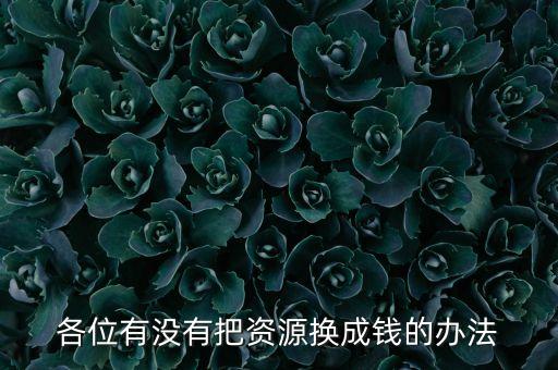 通過(guò)什么將資源轉(zhuǎn)化為財(cái)富，各位有沒(méi)有把資源換成錢的辦法