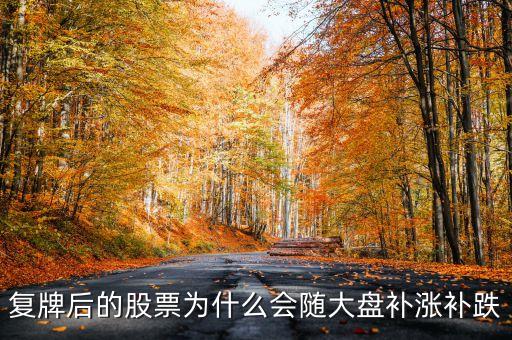 股票復牌為什么會補跌，復牌后的股票為什么會隨大盤補漲補跌