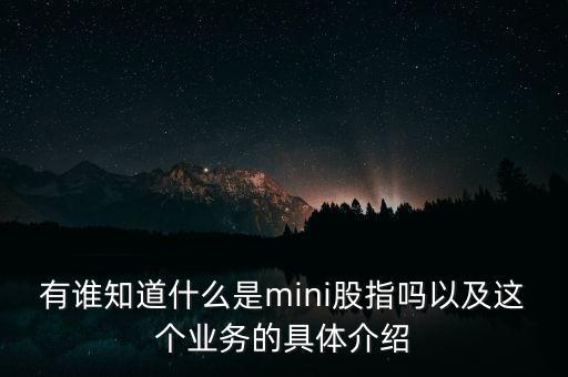 有誰(shuí)知道什么是mini股指嗎以及這個(gè)業(yè)務(wù)的具體介紹