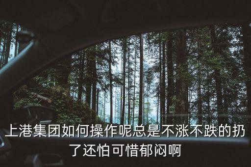 上港集團(tuán)什么級(jí)別，上港集團(tuán)振東集裝箱碼頭分公司的介紹