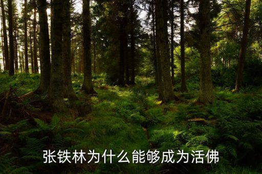 為什么要做活佛，蒼央嘉措為什么注定成為活佛
