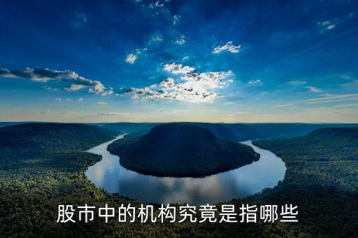 股票中的機構(gòu)指什么，股市里的機構(gòu)指的是什么