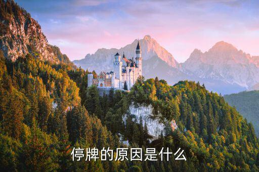中國(guó)巨石為什么停牌，000009今天為何停牌