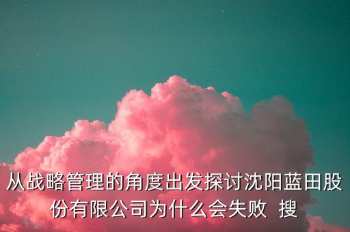 從戰(zhàn)略管理的角度出發(fā)探討沈陽藍(lán)田股份有限公司為什么會(huì)失敗  搜