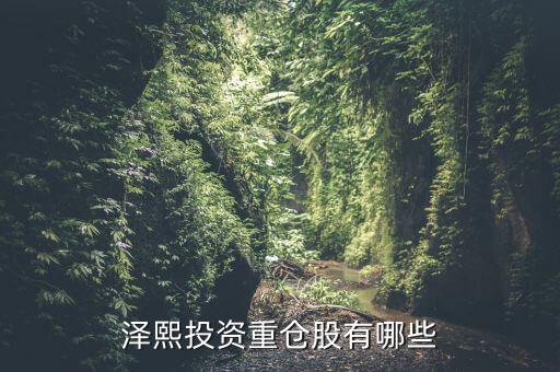 2014年澤熙投資資金介入什么股，請問在哪里能看到澤熙投資參與調(diào)研過哪些股票