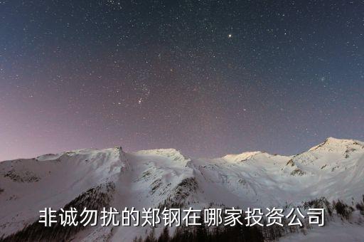 鄭鋼的投資公司是什么，南大鄭鋼投資什么發(fā)的財