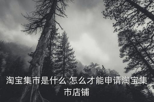 淘寶集市店鋪是什么，淘寶集市店是什么