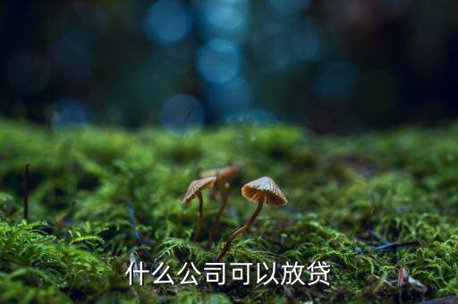 現(xiàn)在什么眾籌公司可以放貸款，什么公司可以放貸