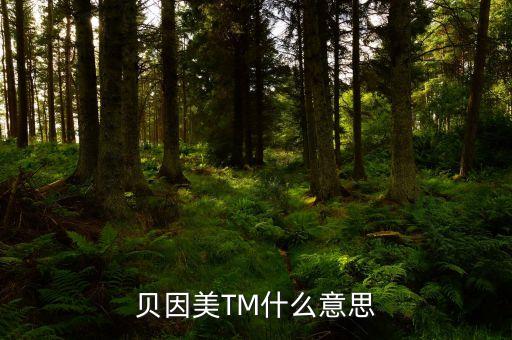 貝因美尾盤1多手什么意思，貝因美TM什么意思