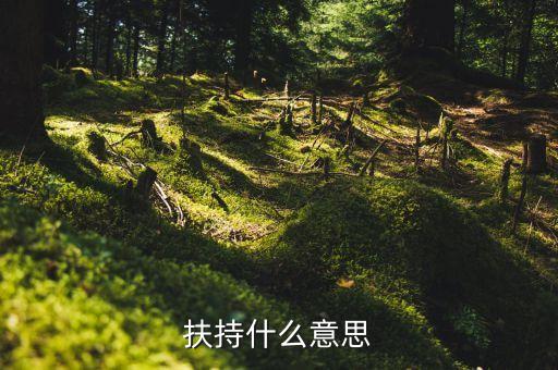 扶持力度什么意思，什么叫扶持扶持是不是等于給予呢