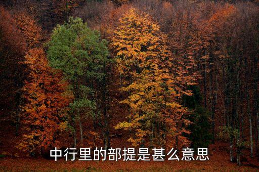 中國銀行部提是什么意思，中國銀行部提是什么意思