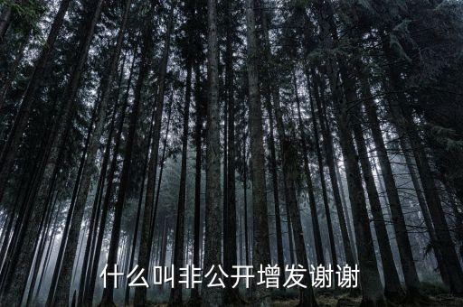 股票非公開增發(fā)是什么意思，st股非公開增發(fā)啥意思