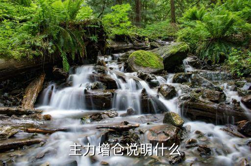 機構(gòu)增倉什么意思，什么是增倉是對于一只股票增加還是買多其他的股票