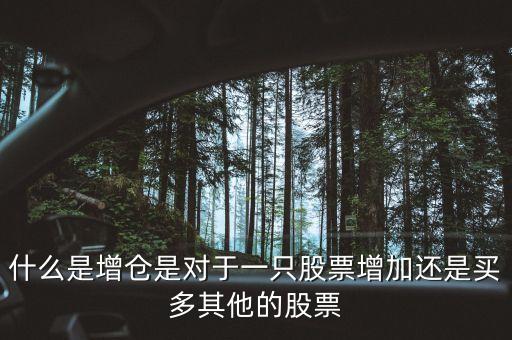 什么是增倉是對(duì)于一只股票增加還是買多其他的股票