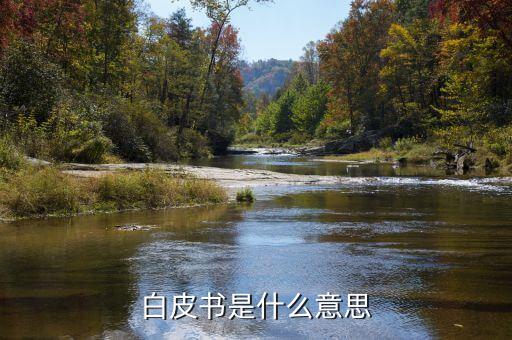 產(chǎn)品白皮書(shū)是什么意思，產(chǎn)品白皮書(shū)的文檔意義