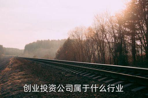 創(chuàng)業(yè)投資公司屬于什么行業(yè)，投資開發(fā)屬于什么行業(yè)