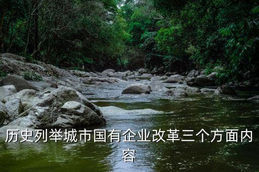 地方國(guó)企改革什么，國(guó)企改革到底要改什么東西啊簡(jiǎn)單點(diǎn)的回答就好
