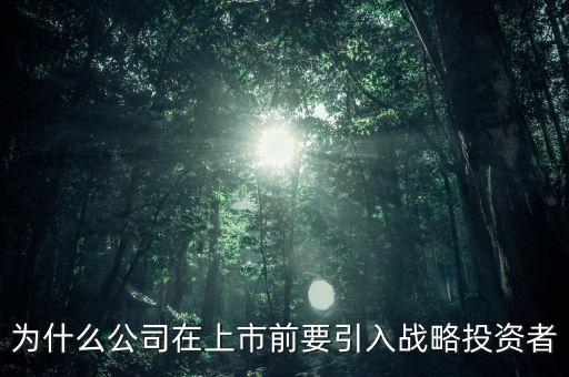 上市為什么要引入風投，為什么公司在上市前要引入戰(zhàn)略投資者