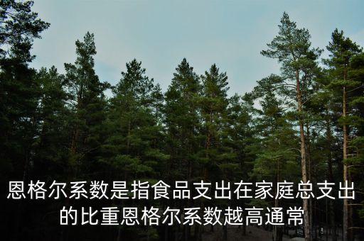 什么是恩格爾系數(shù)法，什么是恩戈?duì)栂禂?shù)