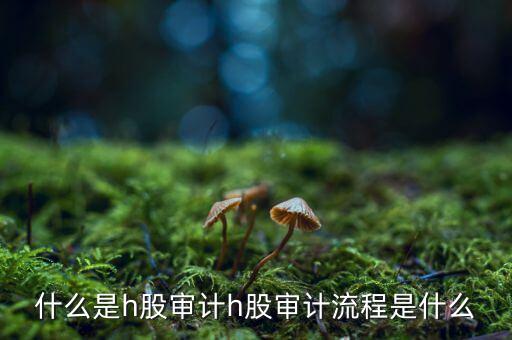 H股審計是什么意思，香港上市公司的審計與內(nèi)地審計有什么區(qū)別