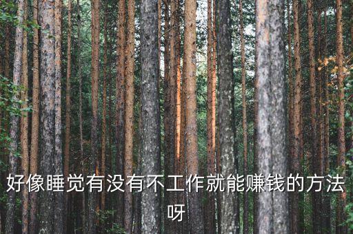 什么事可以睡著賺錢，上晚班晚上八點(diǎn)上到早晨六點(diǎn)期間可以睡覺(jué)我想白天在干點(diǎn)賺錢