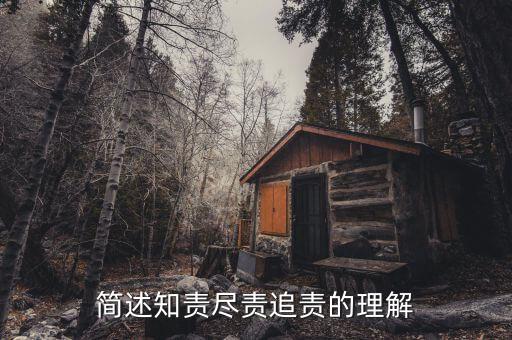 什么是追責(zé)，簡(jiǎn)述知責(zé)盡責(zé)追責(zé)的理解