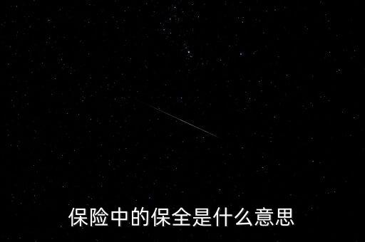 保險(xiǎn)保全是什么，保險(xiǎn)中的保全是什么意思