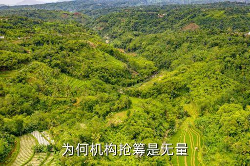 機(jī)構(gòu)搶籌什么意思，股市中機(jī)構(gòu)搶籌是好事還是壞事