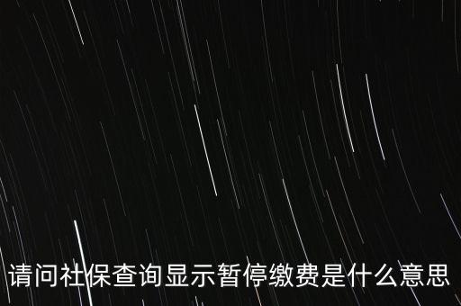 全國(guó)社保基金暫停什么意思，社保停保是什么意思