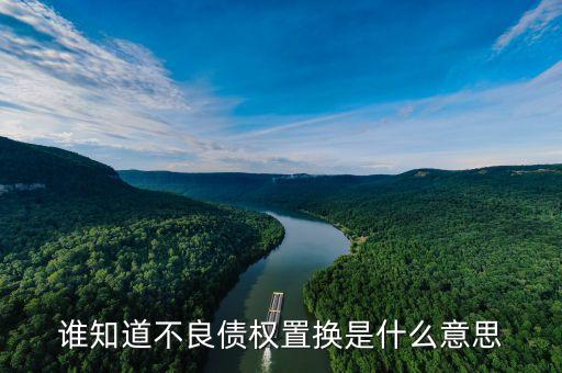 什么是不良資產(chǎn)置換，誰(shuí)知道不良債權(quán)置換是什么意思
