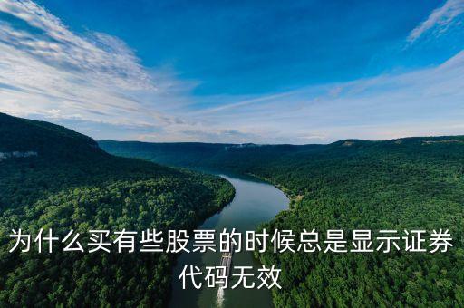 證券代碼無效什么意思，為什么買有些股票的時候總是顯示證券代碼無效