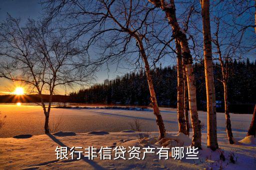 非信貸業(yè)務是什么，什么是銀行的非信貸資產(chǎn)