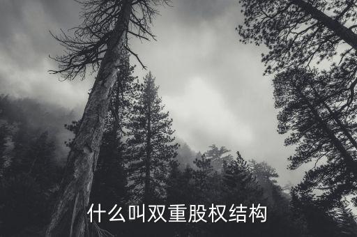 什么是雙層董事會，家長不提供學習費用能否貸款