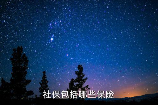 社保保險保些什么，社會保險包括哪些險