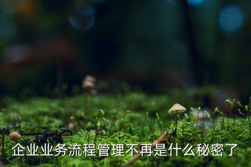 流程管理的亂象是什么，企業(yè)業(yè)務(wù)流程管理不再是什么秘密了