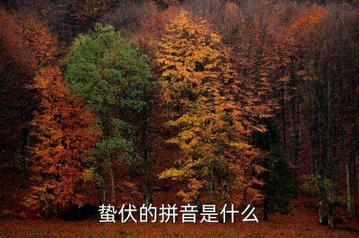 人的蟄伏期是什么，寂寂人定初中的人定是什么時候用天干地支中的回答相當(dāng)