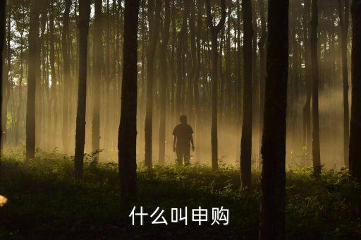 打新申購什么意思，什么叫申購