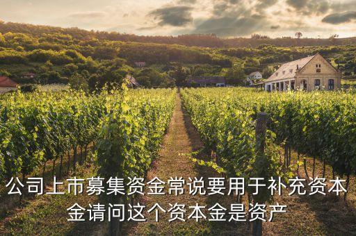 公司上市募集資金常說要用于補(bǔ)充資本金請問這個資本金是資產(chǎn)