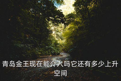 2015青島金王什么概念，青島金王現(xiàn)在能介入嗎它還有多少上升空間