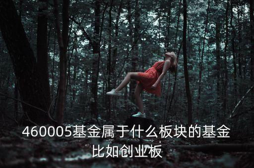 富國(guó)天益價(jià)值重倉什么板塊，460005基金屬于什么板塊的基金比如創(chuàng)業(yè)板