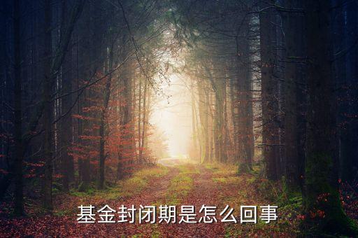 封閉式基金為什么要封閉，為什么認(rèn)購基金要封閉期封閉期是3個月內(nèi)不得提現(xiàn)