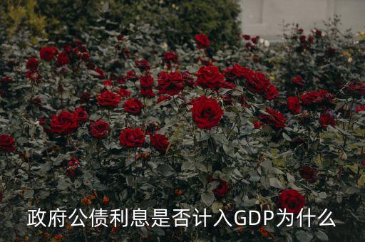政府公債利息是什么，什么叫政府公債利息
