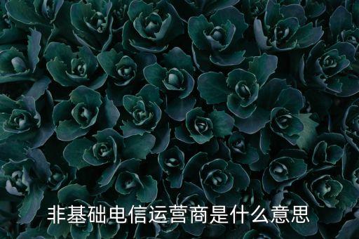 什么是基礎(chǔ)電信運(yùn)營(yíng)商，請(qǐng)問基礎(chǔ)電信企業(yè)是不是就是指幾大電信運(yùn)營(yíng)商啊不勝感激