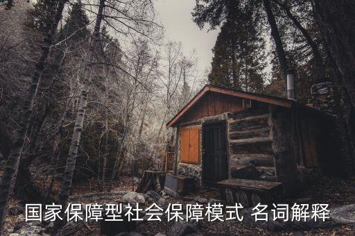 保障型保險什么意思，國家保障型社會保障模式 名詞解釋