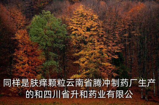 騰沖制藥廠是什么企業(yè)，云南騰沖制藥廠制造的人參再造丸