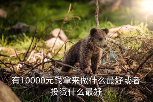有10000元錢(qián)拿來(lái)做什么最好或者投資什么最好