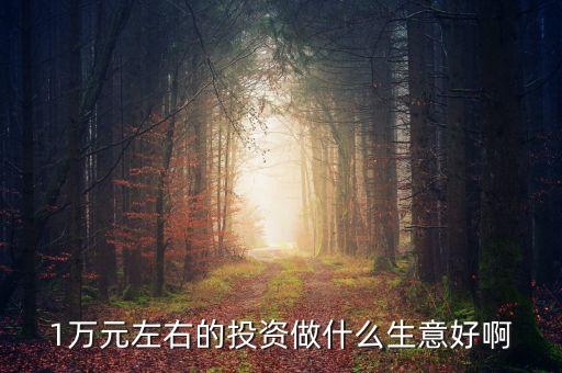 萬投資什么好，有10000元錢拿來做什么最好或者投資什么最好