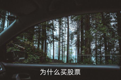 為什么會(huì)買股票，為什么買股票